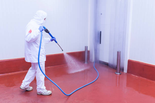 Best Post-Construction Pressure Washing  in Palm Coast, FL